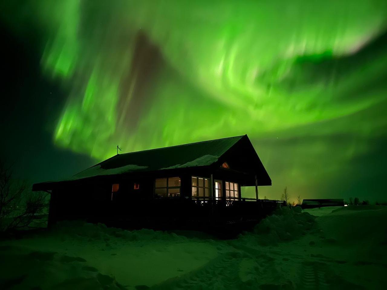 Cozy Cottage House Located At Golden Circle Selfoss Eksteriør bilde